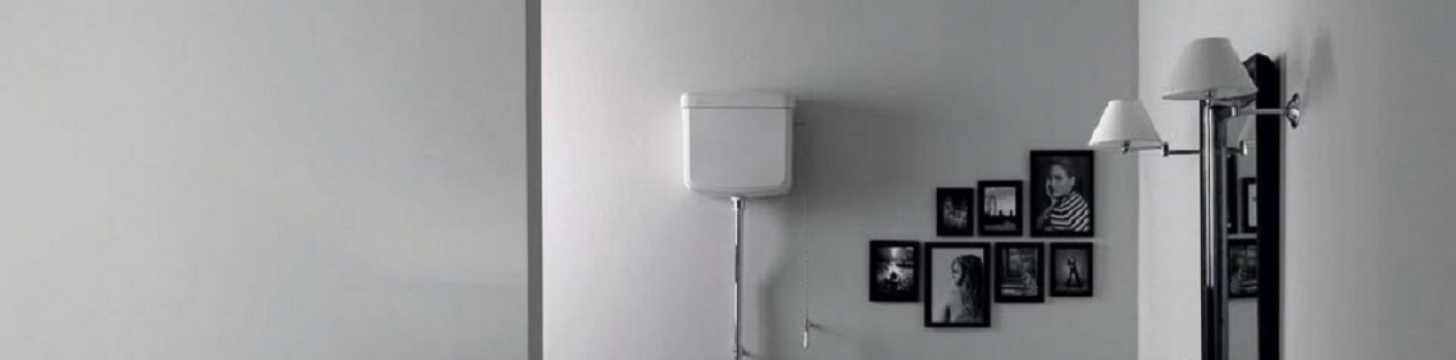 Saniterica  Ca