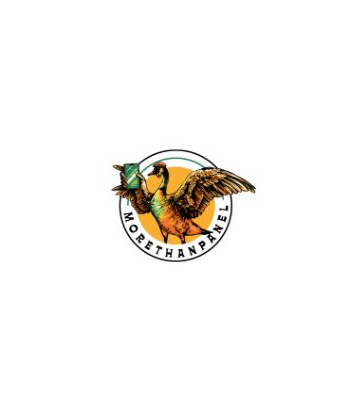 MoreThanPanel Official