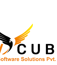 Vcube Academy