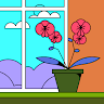 Daisy Paradise