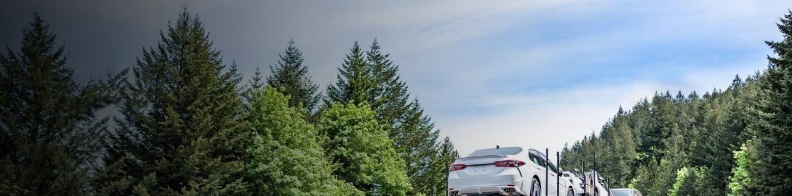 Secure Car Shipping