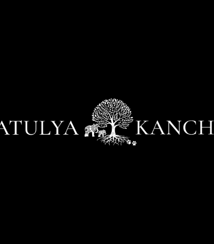 Atulya Kanchi