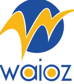 Waioz Consultancy Services